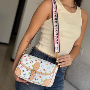 Louis Vuitton Multicolor Bag